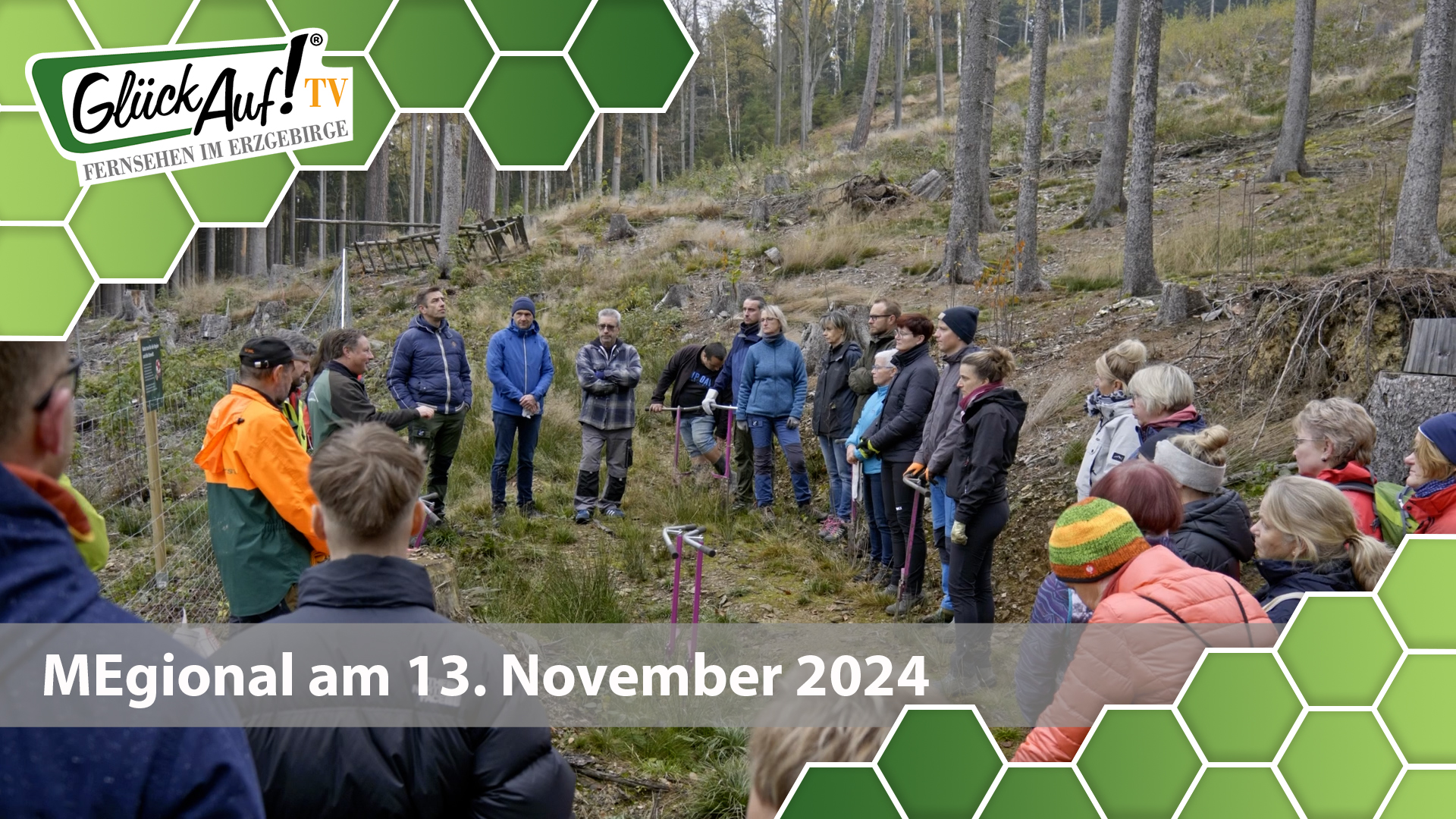 MEgional am 13. November 2024 mit der Baumpflanzaktion der Erzgebirgssparkasse